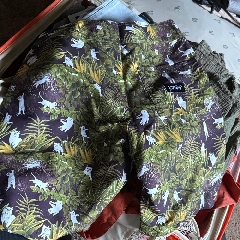 Swim Trunks Rip n Dip Cat Shorts - Picture 2 of 4
